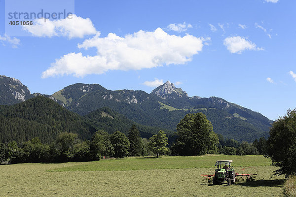 Wendelstein und Schweinsberg  Blick von Aurach  Gemeinde Fischbachau  Mangfallgebirge  Alpen  Oberbayern  Bayern  Deutschland  Europa