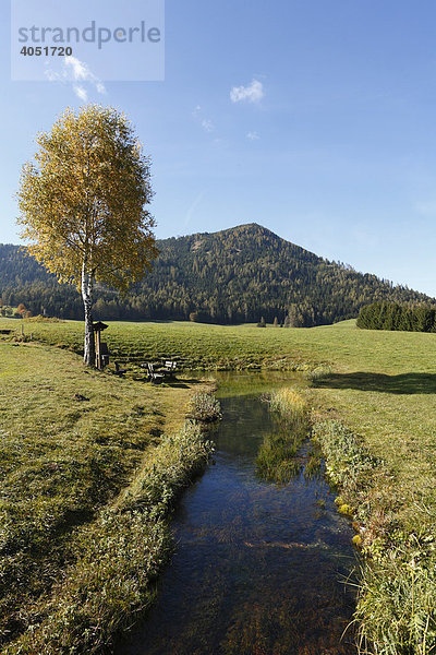 Zeutschacher Ursprungquelle  Naturpark Grebenzen  Steiermark  Österreich  Europa