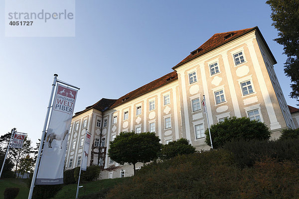 Schloss Piber  Lipizzaner-Gestüt  Steiermark  Österreich  Europa