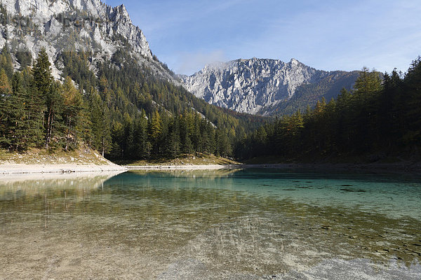 Grüner See  Berg Meßnerin  Tragößtal  Tragöß  Steiermark  Österreich  Europa