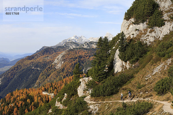 Wanderweg auf Stoderzinken bei Gröbming  hinten Dachstein-Gebirge  Steiermark  Österreich  Europa