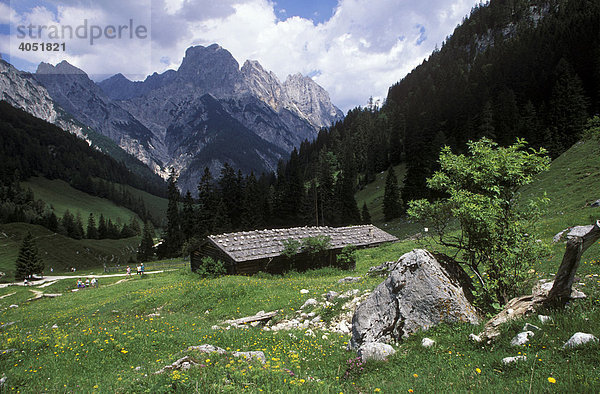 Bindalm mit Mühlsturzhorn  Nationalpark Berchtesgaden  Berchtesgadener Alpen  Oberbayern  Bayern  Deutschland  Europa