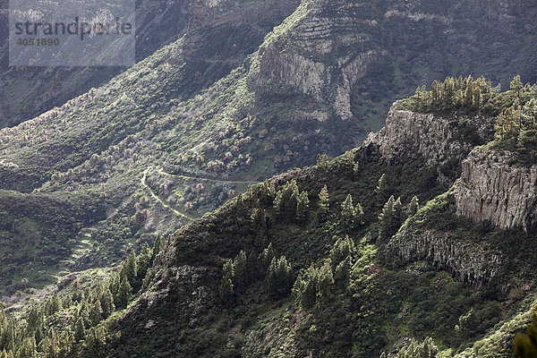 Barranco de Benchijigua  La Gomera  Kanaren  Kanarische Inseln  Spanien  Europa