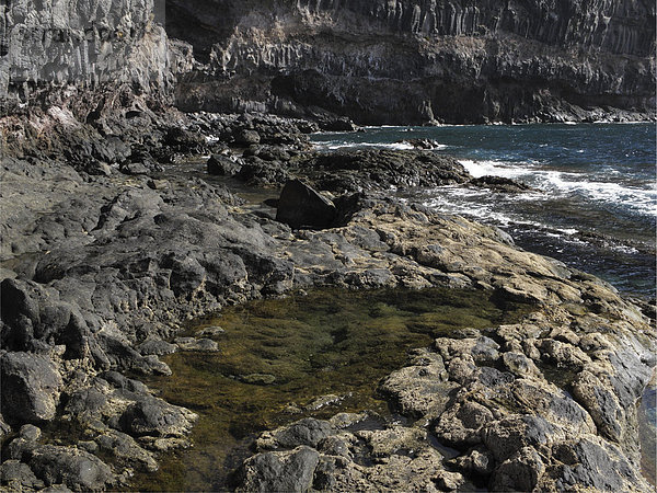 Gezeitentümpel in Felsküste  Playa de Iguala  La Gomera  Kanarische Inseln  Kanaren  Spanien  Europa