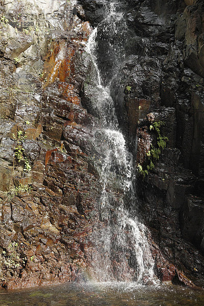 Wasserfall  Barranco de Arure Paradies-Tal  Valle Gran Rey  La Gomera  Kanaren  Kanarische Inseln  Spanien  Europa