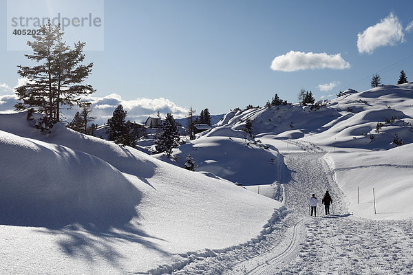 Winter-Wanderweg im Rofan  Rofangebirge  Tirol  Österreich  Europa