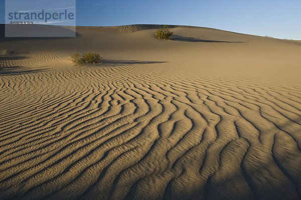Mesquite Flat Dünen  Death Valley  Kalifornien  USA
