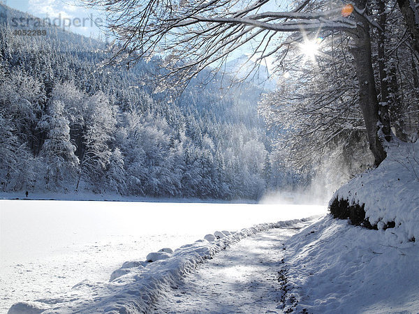 Riessersee  Zugspitzmassiv  Garmisch-Partenkirchen  Oberbayern  Bayern  Deutschland  Europa