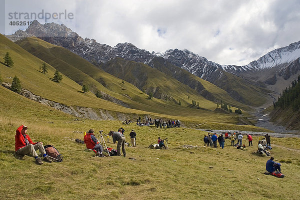 Touristen beobachten die Brunft der Rothirsche im Schweizerischen Nationalpark  Oberengadin  Kanton Graubünden  Schweiz  Europa