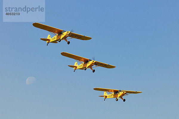 Drei Piper L-21B Super Cub im Formationsflug