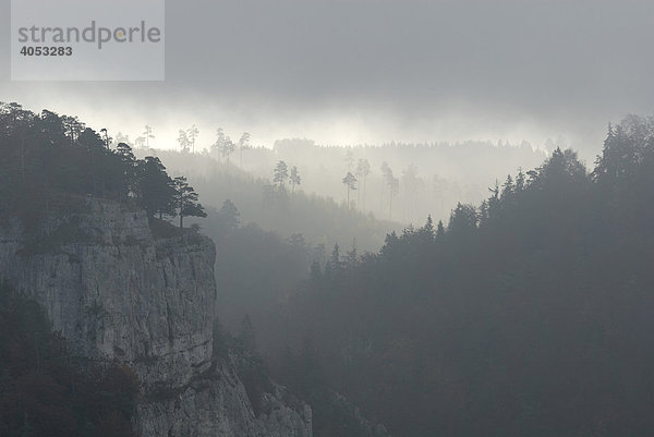 Morgennebel im oberen Donautal  Baden-Württemberg  Deutschland  Europa