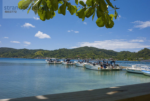 Taucherschiffe in einer Bucht vor Anker  Roatan  Honduras  Zentralamerika