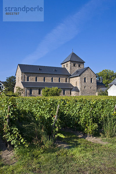 St.Aegidius Basilika  älteste Kirche im Rheingau  Hessen  Deutschland  Europa