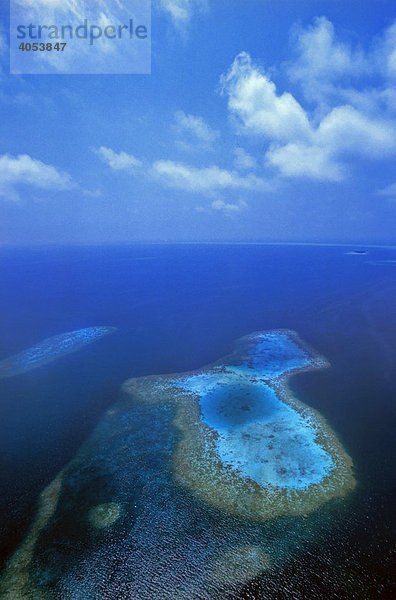 Korallenriffe auf den Malediven  Indischer Ozean