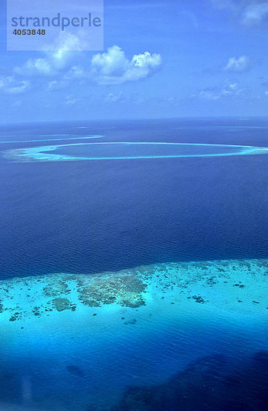 Korallenriffe auf den Malediven  Indischer Ozean