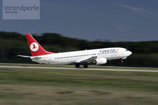Boeing 737 der Turkish Airlines startet auf dem Frankfurter Flughafen  Frankfurt  Hessen  Deutschland  Europa