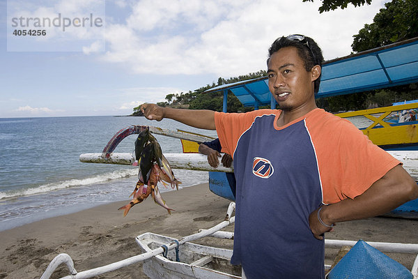 Fischer präsentiert stolz seinen Fang von Korallenfischen  Insel Lombok  Region kleine Sunda-Inseln  Republik Indonesien  Asien