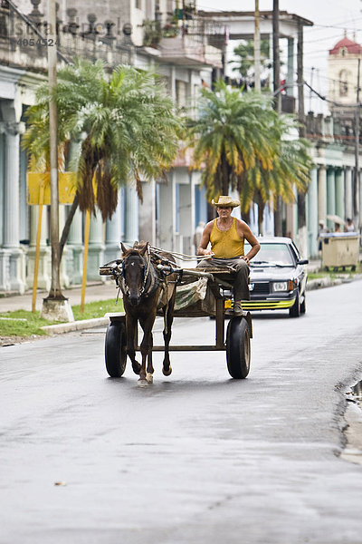 Pferdewagen  Stadt Pinal del Rio  Provinz Pinar del Rio  Kuba  Cuba  Karibik