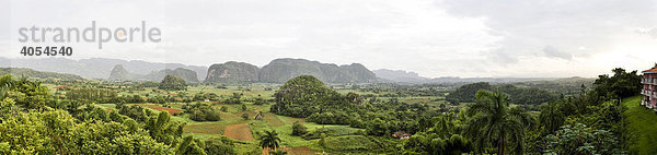 Sierra del Rosario Gebirge las Terrazas  Kuba  Cuba  Karibik