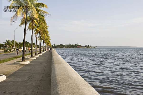 Küstenstraße in Cienfuegos  Kuba  Karibik  Amerika