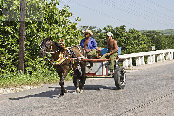 Pferdewagen mit Kubanern auf dem Weg nach Cienfuegos  Kuba  Karibik  Amerika