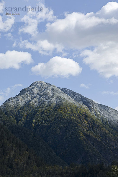 Ein Berg in Südtirol an dem die Schneefallgrenze genau zu erkennen ist  Südtirol  Tirol  Italien  Europa