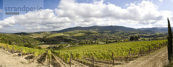 Typische Landschaft mit Weinbergen und Wäldern bei San Casciano in Chianti  Toskana  Italien  Europa