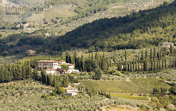 Landschaft mit Weinbergen  Weingut und Wäldern bei San Casciano in Chianti  Toskana  Italien