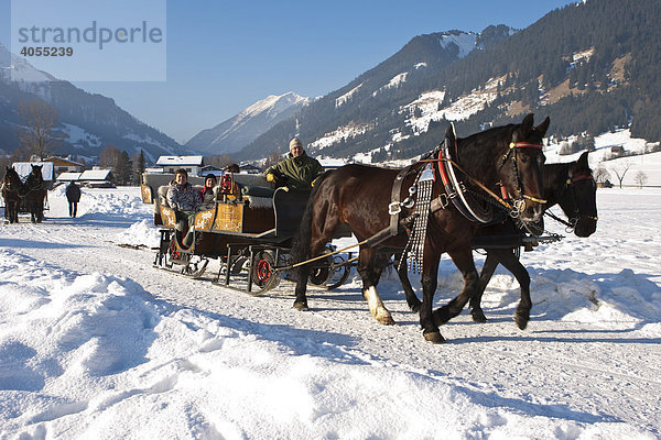 Pferdekutsche fährt zwischen den Ortschaften Ehrwald und Lermoos  Tirol  Österreich  Europa