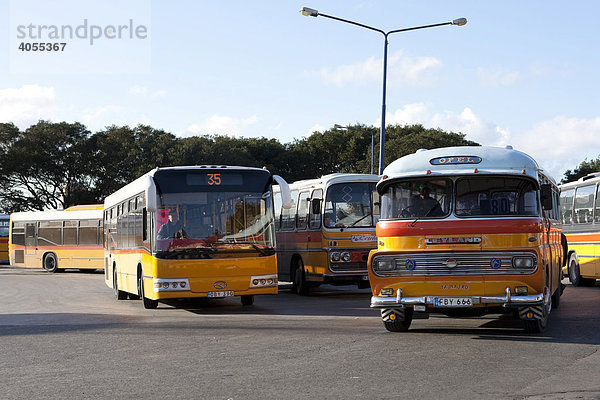 Typische öffentliche Busse in Malta an der City Gate  Valletta  Malta  Europa