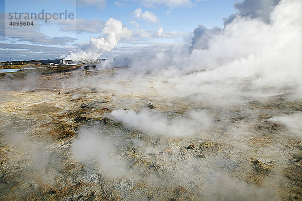 Dampf aus zahllosen Löchern und Spalten in der Erdoberfläche  den Solfatarten  dahinter ein geothermales Kraftwerk und eine Fabrik zur Salzgewinnung  die mit geothermaler Energie betrieben wird  Geothermalgebiet von Gunnuhver  Südisland  Island  Europa