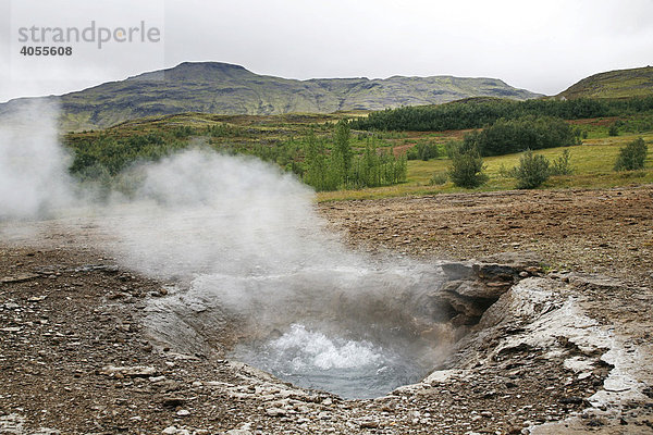Heiße  sprudelnde und dampfende Quelle  geothermales Gebiet von Haukadalur  Geysir  Island  Europa