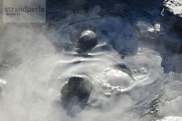 Heißer  blubbernder Schlamm in einem Becken des Geothermalgebietes von Gunnuhver  Island  Europa