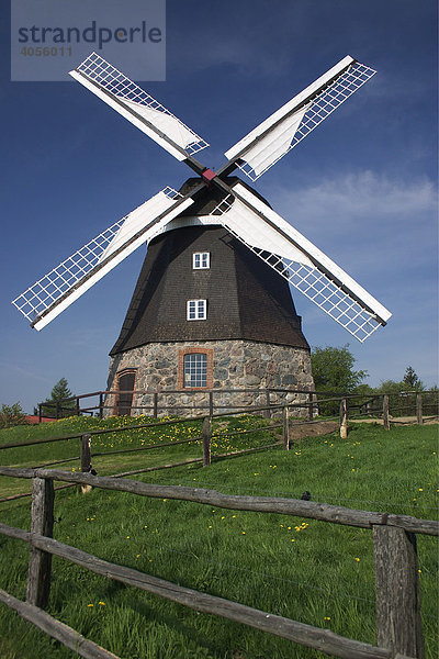 Holländerwindmühle  Woldegk  Mecklenburg-Strelitz  Mecklenburg-Vorpommern  Deutschland  Europa