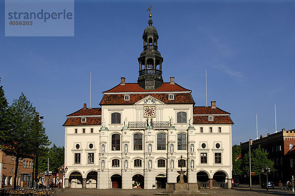 Rathaus mit Lunabrunnen  Lüneburg  Niedersachsen  Deutschland  Europa