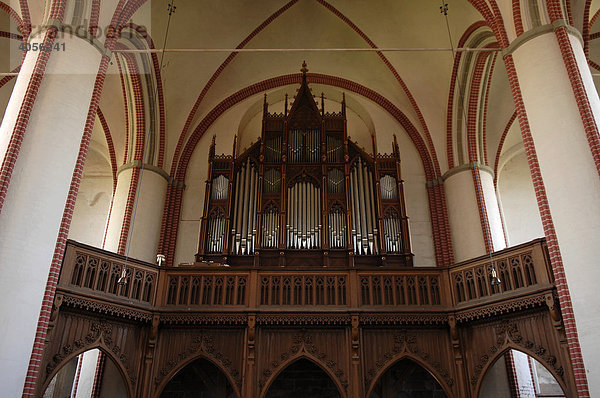 Orgel im Bardowicker Dom  Bardowick  Niedersachsen  Deutschland  Europa