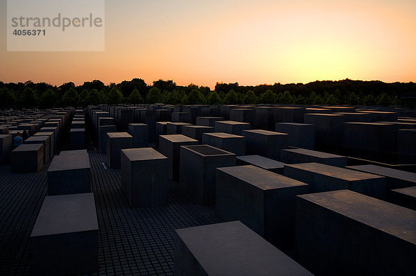 Stelen des Holocaust-Denkmals im Abendlicht  Berlin  Deutschland  Europa