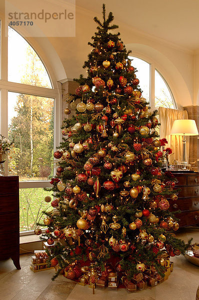 Großer geschmückter Weihnachtsbaum  Villa Ambiente  Nürnberg  Mittelfranken  Bayern  Deutschland  Europa