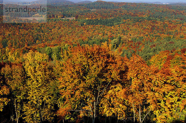 Fränkische bewaldete Herbstlandschaft  Wichsenstein  Oberfranken  Bayern  Deutschland  Europa