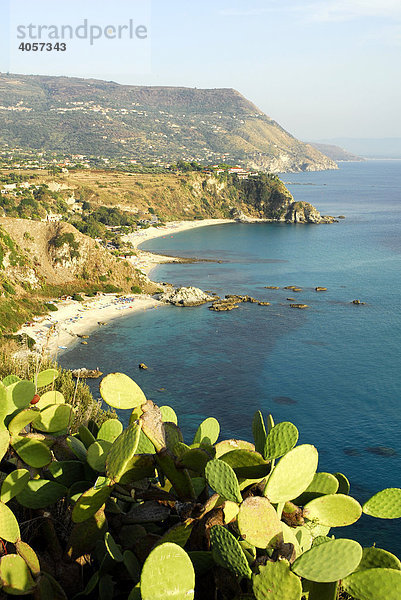 Kaktus mit Meeresblick  Strandbucht unterhalb der Steilküste am Capo Vaticano  Ricadi  Kalabrien  Tyrrhenisches Meer  Süditalien  Italien  Europa