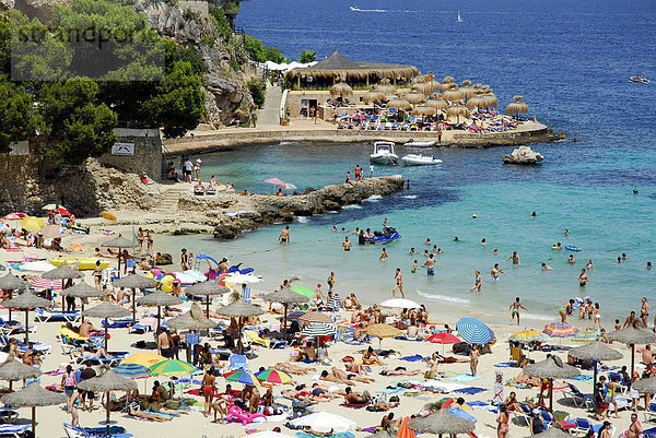 Überfüllter Strand in den Sommerferien  Playa  Platja de Ses Illetes  Mallorca  Balearen  Mittelmeer  Spanien  Europa
