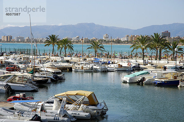 Boote im Club Nautic s'Arenal  Jachthafen mit Palmen in Arenal  Mallorca  Balearen  Mittelmeer  Spanien  Europa