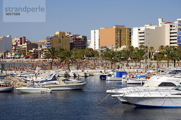 Boote im Club Nautic s'Arenal  Jachthafen  dahinter die Gebäude am Boulevard von Arenal  Mallorca  Balearen  Mittelmeer  Spanien  Europa