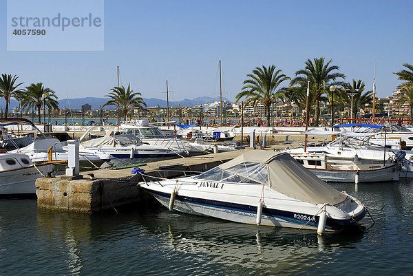 Boote im Club Nautic s'Arenal  Jachthafen mit Palmen in Arenal  Mallorca  Balearen  Mittelmeer  Spanien  Europa
