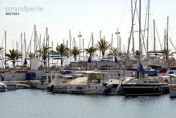 Boote im Club Nautic s'Arenal  Jachthafen mit Palmen in Arenal  Mallorca  Balearen  Mittelmeer  Spanien  Europa