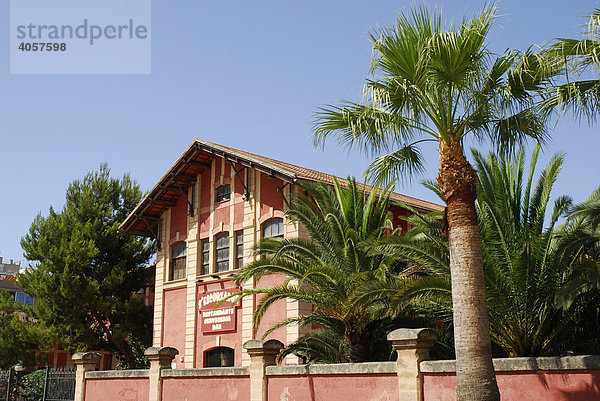 S'Escorxador Municipal  der ehemalige Schlachthof mit roter Fassade und Palmbäumen ist heute ein Kulturzentrum  Palma de Mallorca  Mallorca  Balearen  Spanien  Europa
