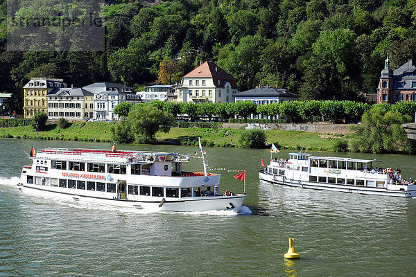 Weiße Ausflugsschiffe auf dem Neckar  dahinter Villen am Flussufer  Heidelberg  Neckartal  Baden-Württemberg  Deutschland  Europa