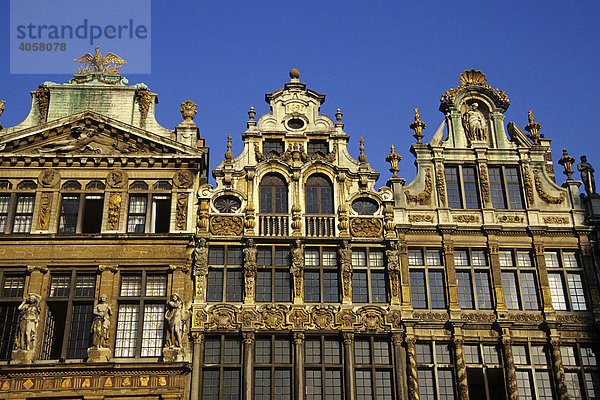 Repräsentativer Fassadenschmuck  die barocke Häuser auf dem Grote Markt  Grand Place  Brüssel  Belgien  Benelux  Europa