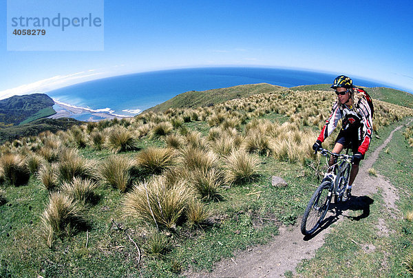 Mountainbiker  Cheviot  Ostküste  Südinsel  Neuseeland