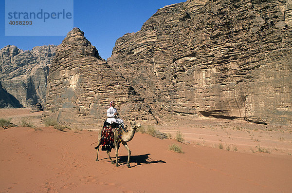 Beduine  Kamel  Wadi Rum  Jordanien  Naher Osten
